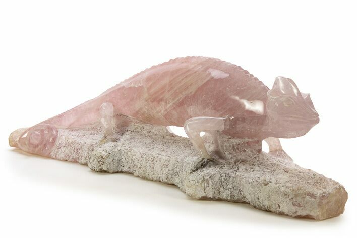 Exotic, Polished Rose Quartz Old World Chameleon #334780